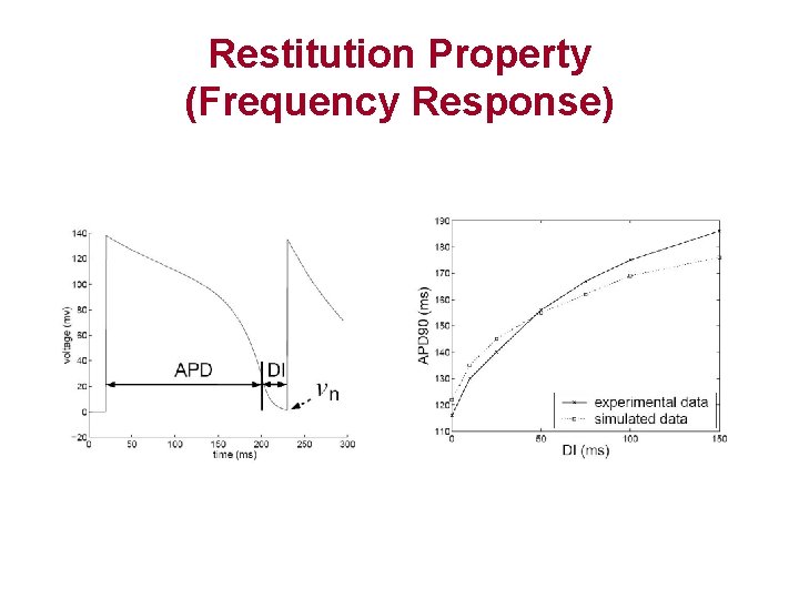 Restitution Property (Frequency Response) 