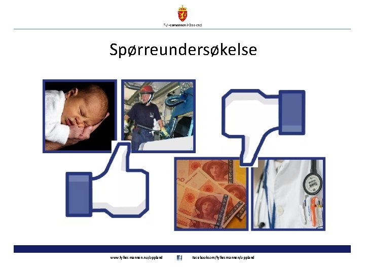 Spørreundersøkelse www. fylkesmannen. no/oppland Facebookcom/fylkesmannen/oppland 