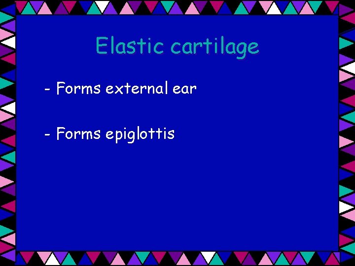 Elastic cartilage - Forms external ear - Forms epiglottis 