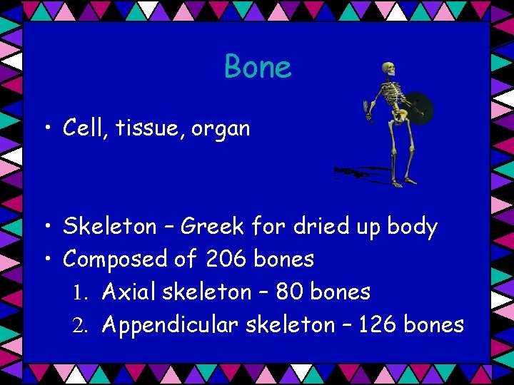 Bone • Cell, tissue, organ • Skeleton – Greek for dried up body •