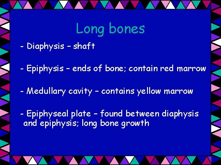 Long bones - Diaphysis – shaft - Epiphysis – ends of bone; contain red