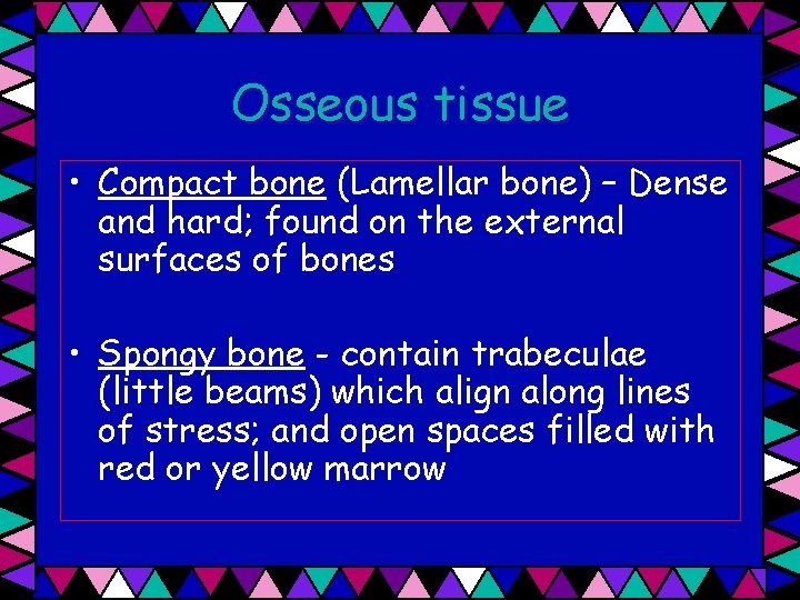 Osseous tissue • Compact bone (Lamellar bone) – Dense and hard; found on the