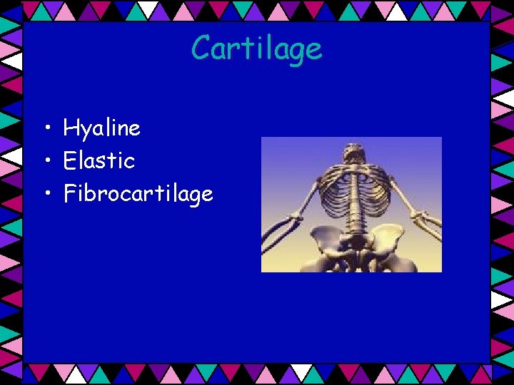 Cartilage • Hyaline • Elastic • Fibrocartilage 