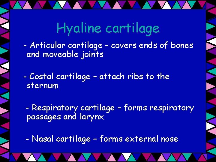 Hyaline cartilage - Articular cartilage – covers ends of bones and moveable joints -