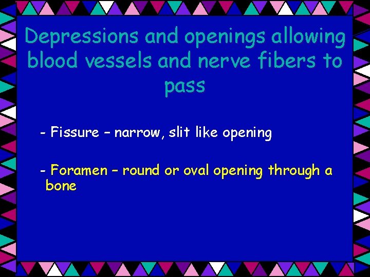 Depressions and openings allowing blood vessels and nerve fibers to pass - Fissure –