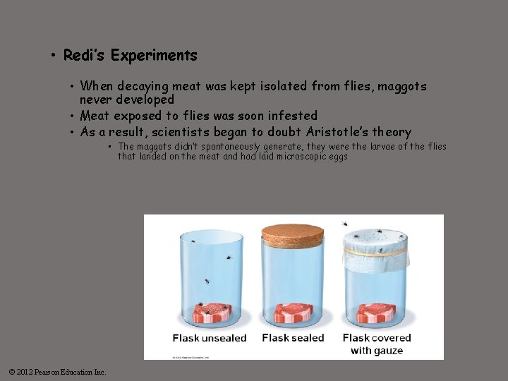  • Redi’s Experiments • When decaying meat was kept isolated from flies, maggots