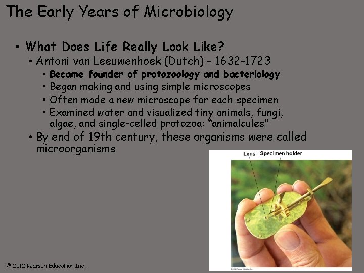 The Early Years of Microbiology • What Does Life Really Look Like? • Antoni