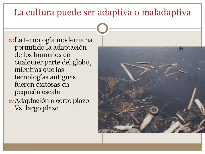 La cultura puede ser adaptiva o maladaptiva La tecnología moderna ha permitido la adaptación