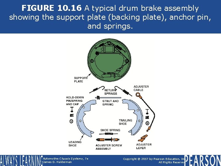 FIGURE 10. 16 A typical drum brake assembly showing the support plate (backing plate),