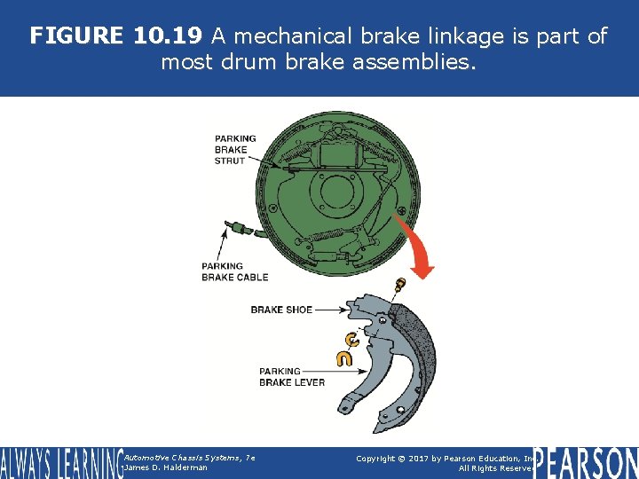 FIGURE 10. 19 A mechanical brake linkage is part of most drum brake assemblies.