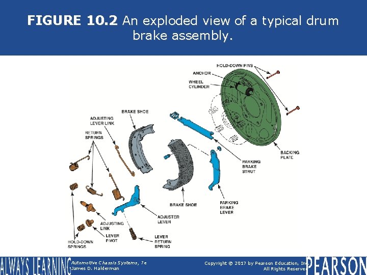 FIGURE 10. 2 An exploded view of a typical drum brake assembly. Automotive Chassis