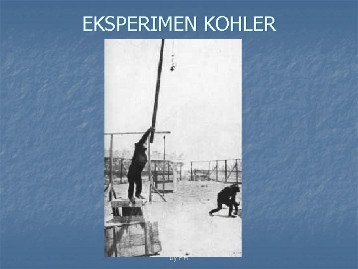 EKSPERIMEN KOHLER by FH 