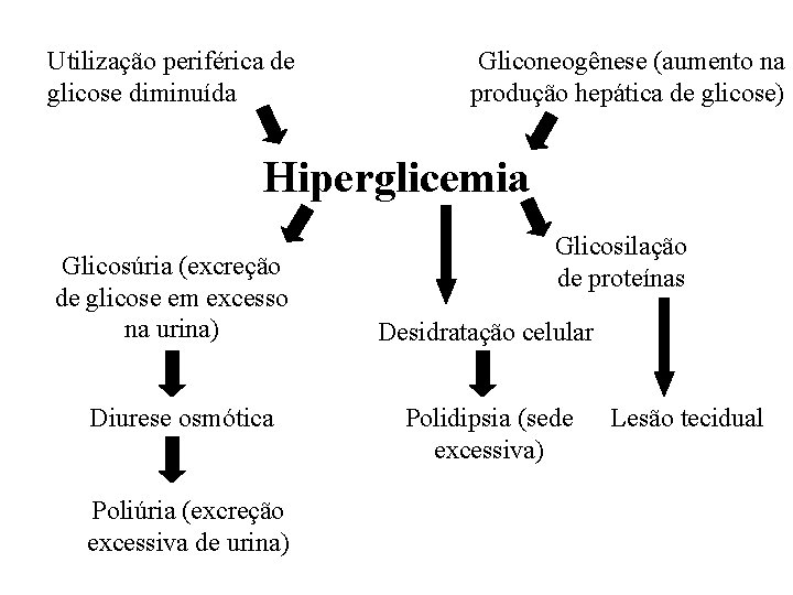 Utilização periférica de glicose diminuída Gliconeogênese (aumento na produção hepática de glicose) Hiperglicemia Glicosúria