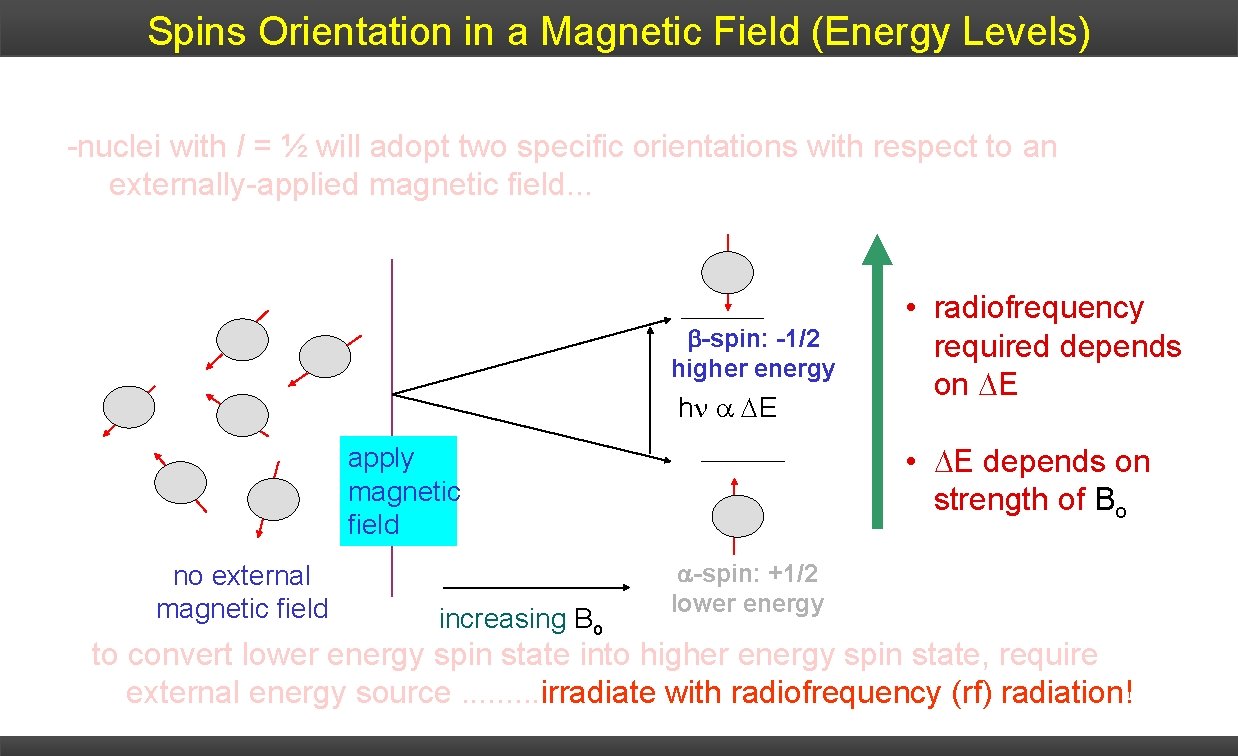 Spins Orientation in a Magnetic Field (Energy Levels) 1. At zero external magnetic field,