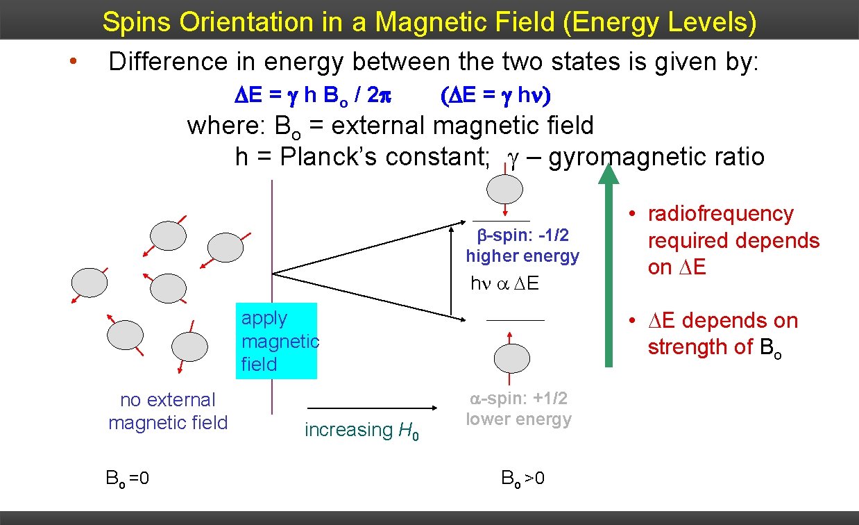 Spins Orientation in a Magnetic Field (Energy Levels) • Difference in energy between the