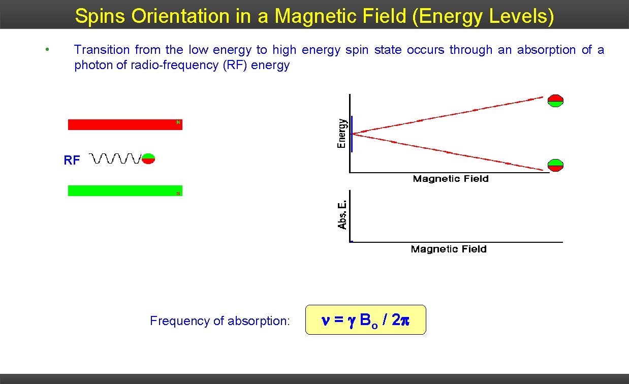 Spins Orientation in a Magnetic Field (Energy Levels) • Transition from the low energy