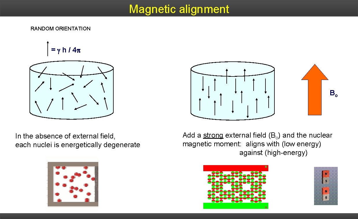 Magnetic alignment RANDOM ORIENTATION = h / 4 p Bo In the absence of