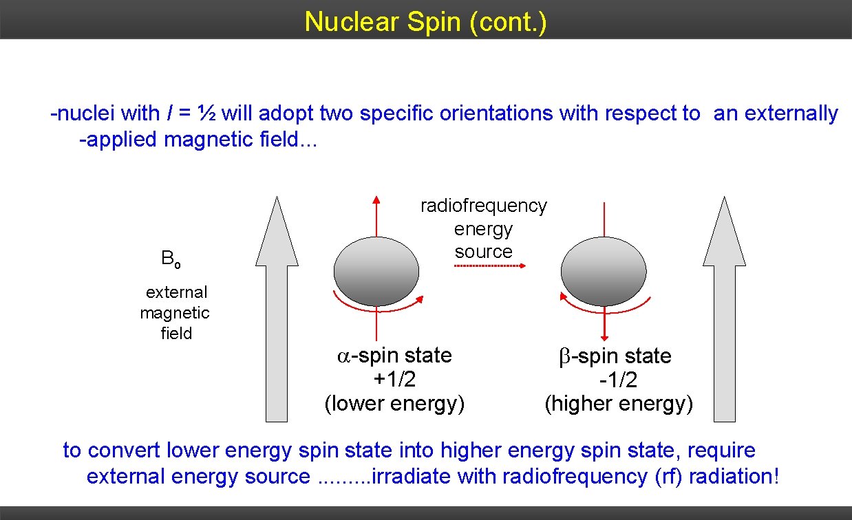 Nuclear Spin (cont. ) 1. At zero external magnetic field, spins are degenerate! 2.