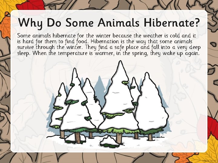 Why Do Some Animals Hibernate? Some animals hibernate for the winter because the weather