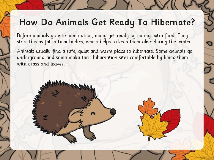 How Do Animals Get Ready To Hibernate? Before animals go into hibernation, many get