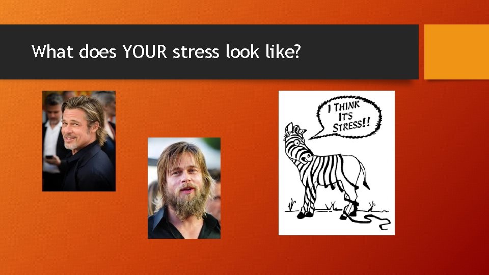 What does YOUR stress look like? 