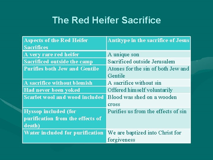 The Red Heifer Sacrifice Aspects of the Red Heifer Sacrifices A very rare red