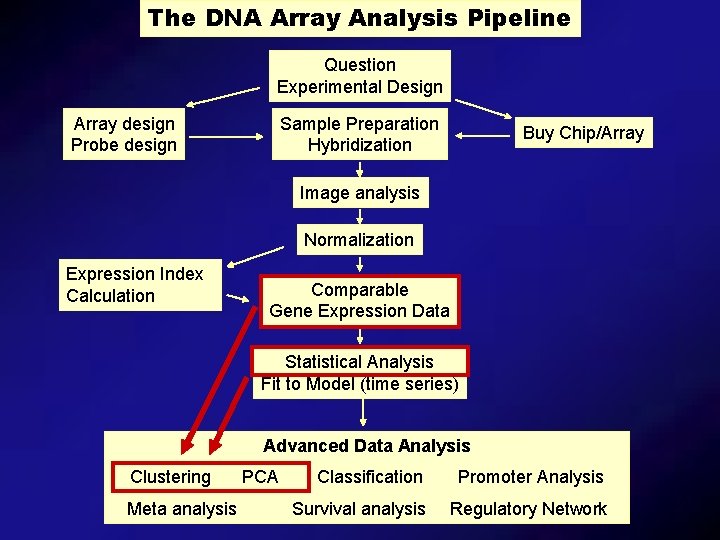 The DNA Array Analysis Pipeline Question Experimental Design Array design Probe design Sample Preparation