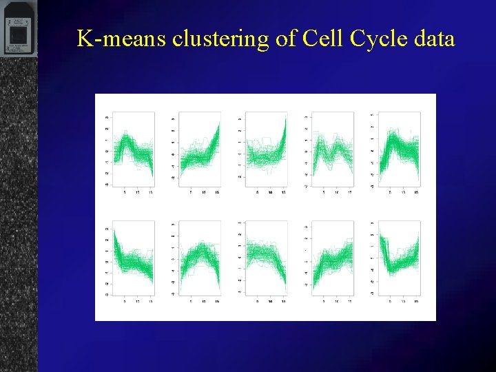 K-means clustering of Cell Cycle data 
