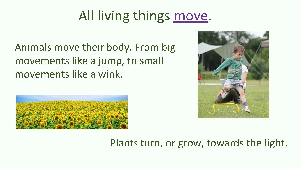 All living things move. Animals move their body. From big movements like a jump,