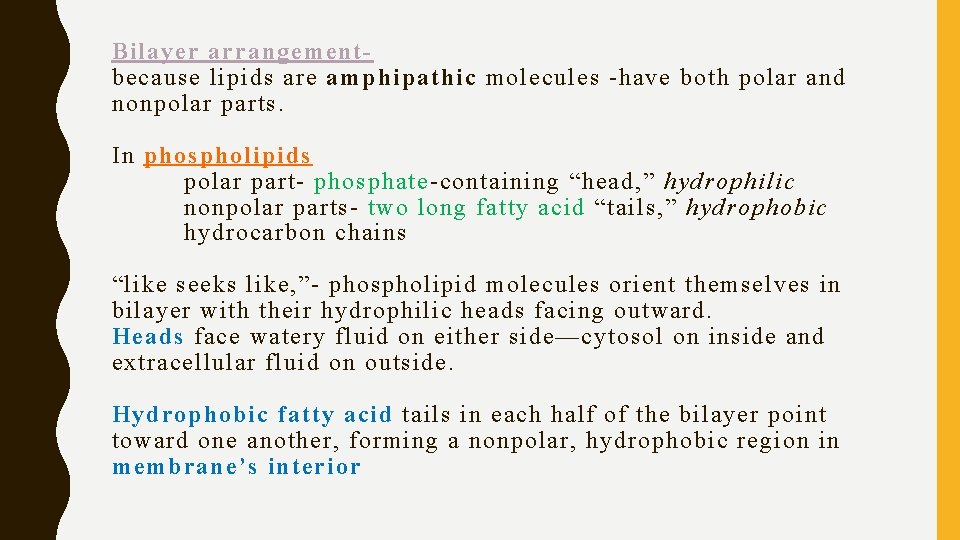 Bilayer arrangementbecause lipids are amphipathic molecules -have both polar and nonpolar parts. In phospholipids