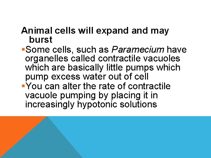 Animal cells will expand may burst §Some cells, such as Paramecium have organelles called