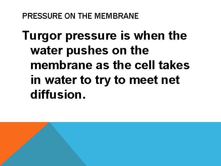 PRESSURE ON THE MEMBRANE Turgor pressure is when the water pushes on the membrane