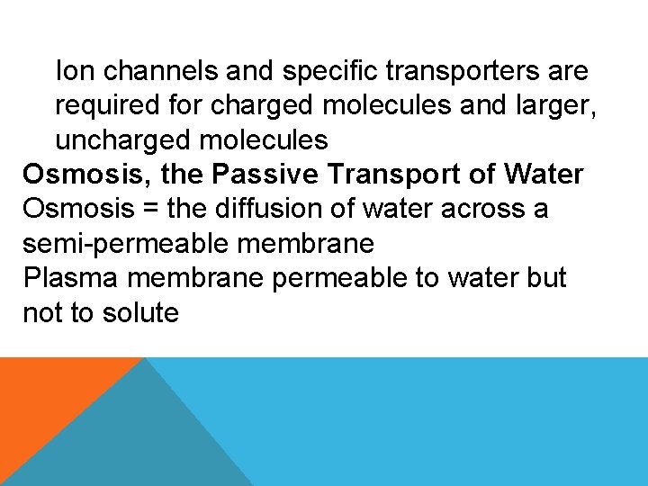 Ion channels and specific transporters are required for charged molecules and larger, uncharged molecules