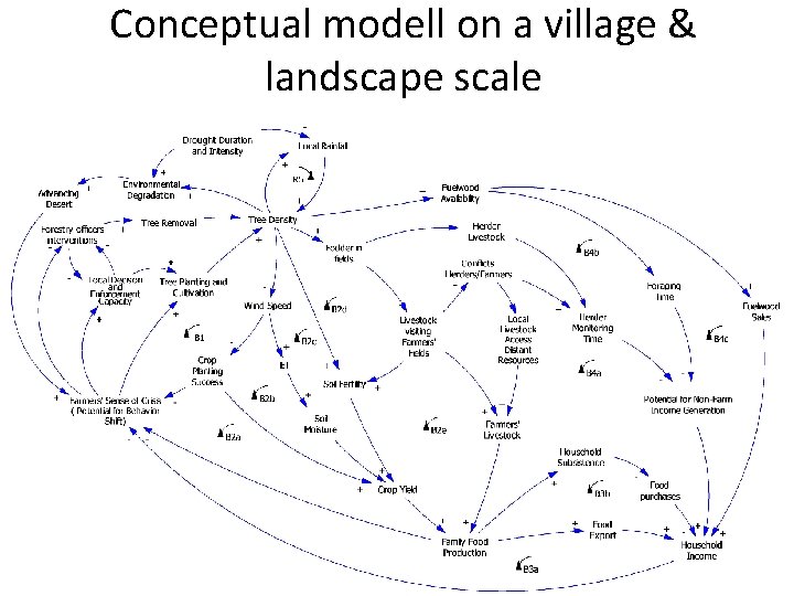 Conceptual modell on a village & landscape scale 