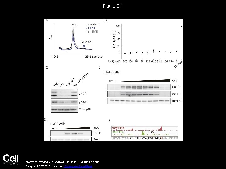 Figure S 1 Cell 2020 182404 -416. e 14 DOI: (10. 1016/j. cell. 2020.