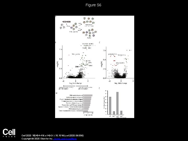 Figure S 6 Cell 2020 182404 -416. e 14 DOI: (10. 1016/j. cell. 2020.