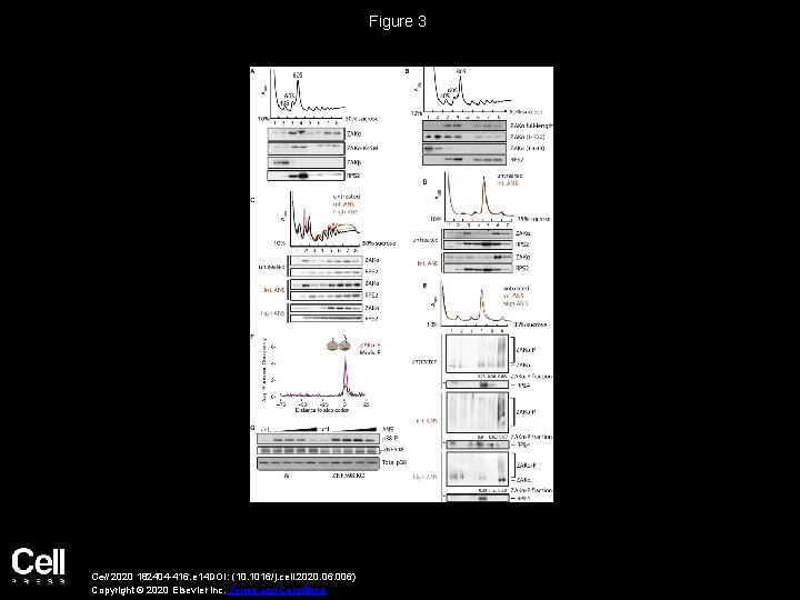 Figure 3 Cell 2020 182404 -416. e 14 DOI: (10. 1016/j. cell. 2020. 06.