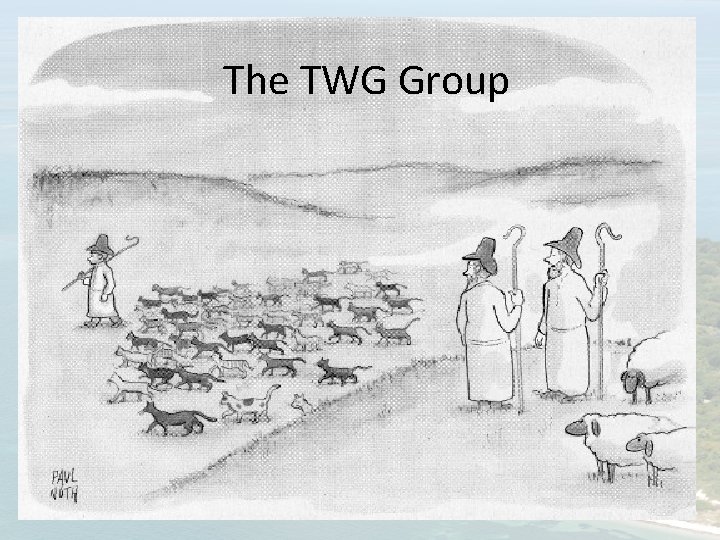 The TWG Group 