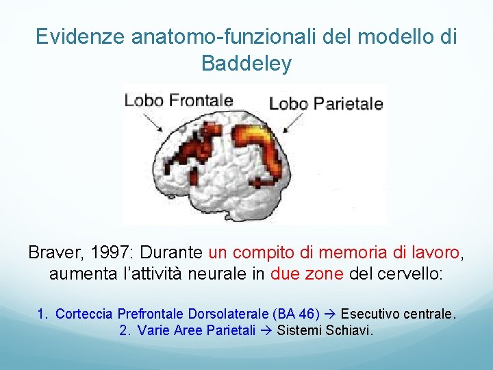 Evidenze anatomo-funzionali del modello di Baddeley Braver, 1997: Durante un compito di memoria di