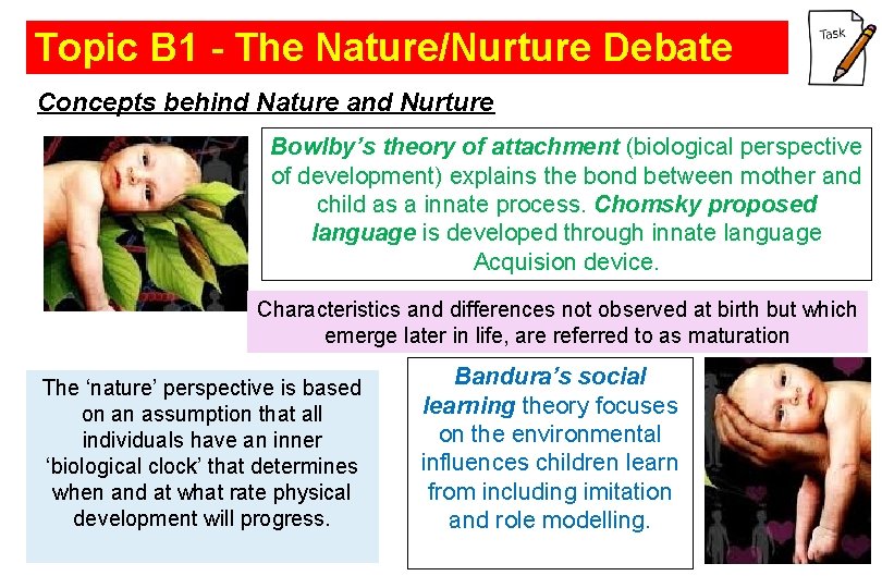Topic B 1 - The Nature/Nurture Debate Concepts behind Nature and Nurture Bowlby’s theory