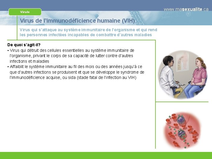 Virale Virus de l’immunodéficience humaine (VIH) Virus qui s’attaque au système immunitaire de l’organisme