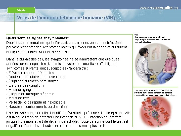 Virale www. masexualite. ca Virus de l’immunodéficience humaine (VIH) Quels sont les signes et