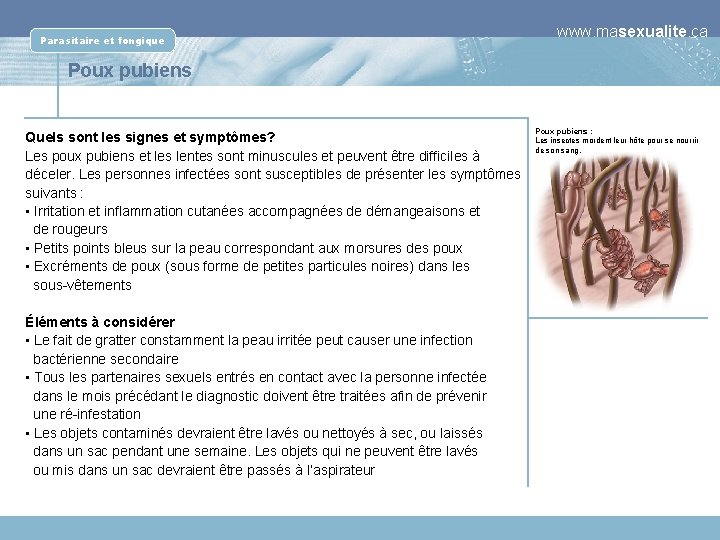 Parasitaire et fongique www. masexualite. ca Poux pubiens Quels sont les signes et symptômes?