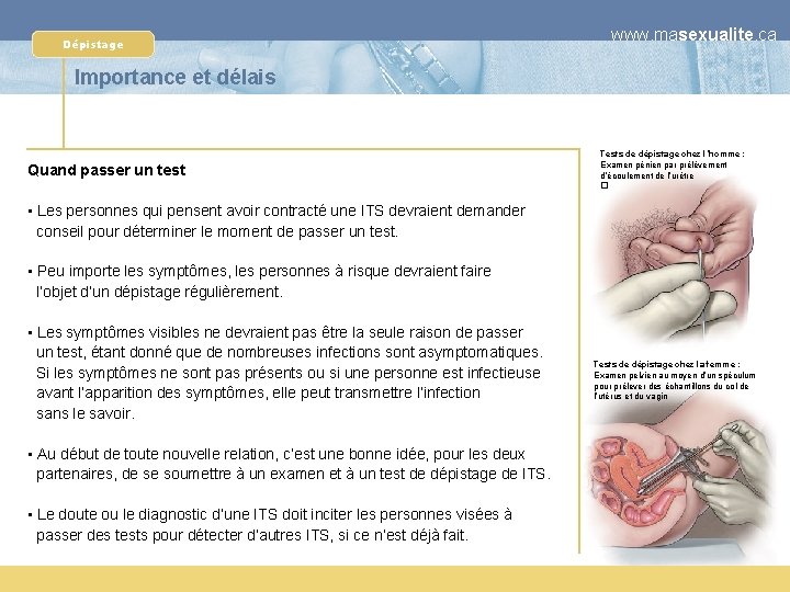 Dépistage www. masexualite. ca Importance et délais Quand passer un test Tests de dépistage