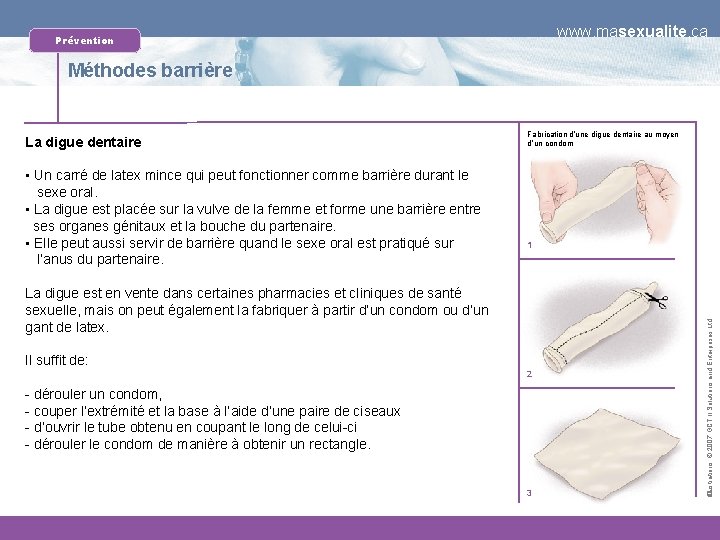 www. masexualite. ca Prévention Méthodes barrière • Un carré de latex mince qui peut