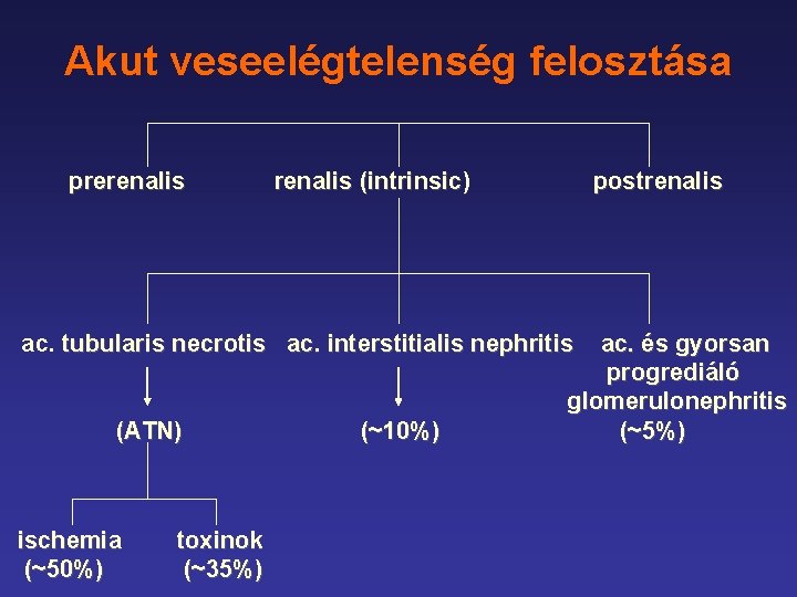 Akut veseelégtelenség felosztása prerenalis (intrinsic) postrenalis ac. tubularis necrotis ac. interstitialis nephritis (ATN) ischemia