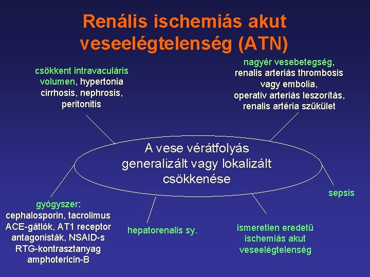 Renális ischemiás akut veseelégtelenség (ATN) csökkent intravaculáris volumen, hypertonia cirrhosis, nephrosis, peritonitis nagyér vesebetegség,