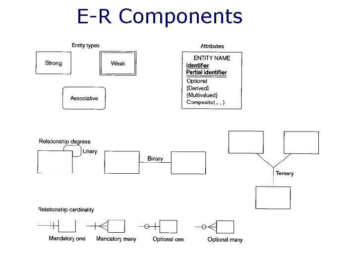 E-R Components 