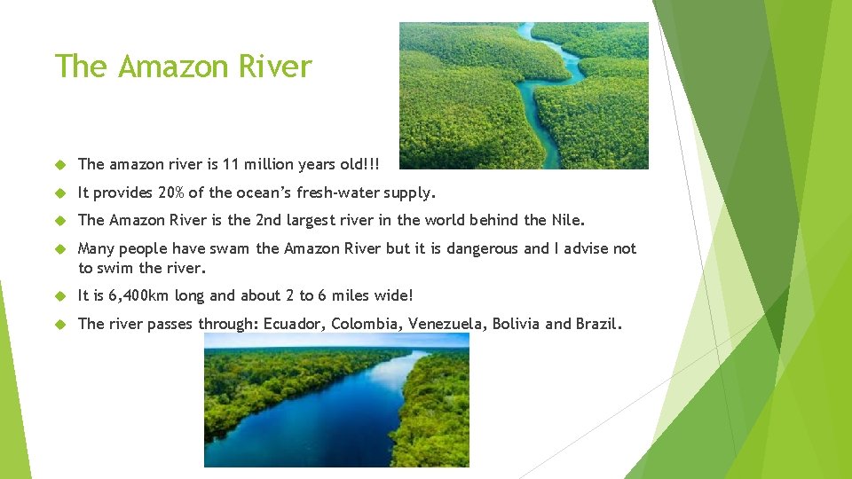 The Amazon River The amazon river is 11 million years old!!! It provides 20%