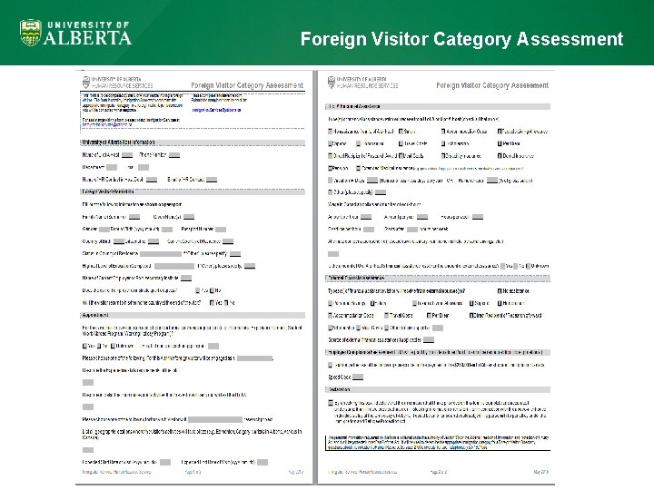 Foreign Visitor Category Assessment 